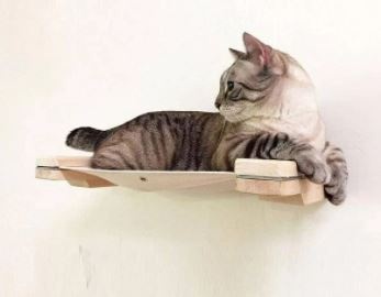 Cat Wall Shelves & Furniture