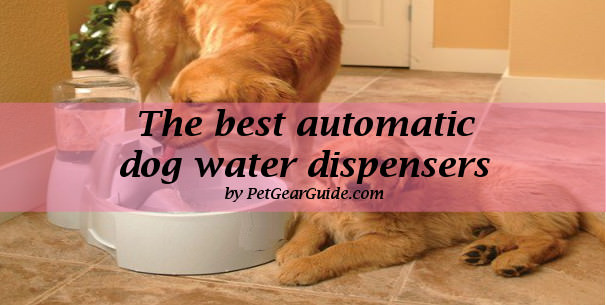 best automatic dog water dispensers
