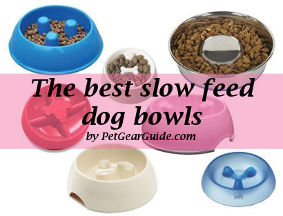 best slow feed dog bowls