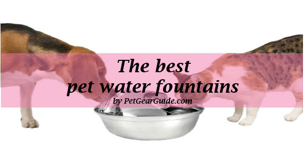 best pet water fountains
