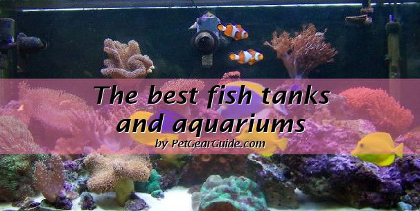 best fish tanks and aquariums