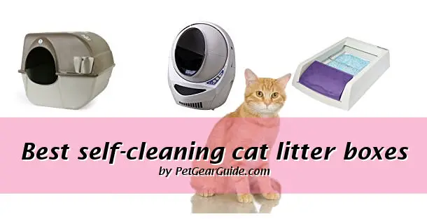 Best self-cleaning cat litter boxes