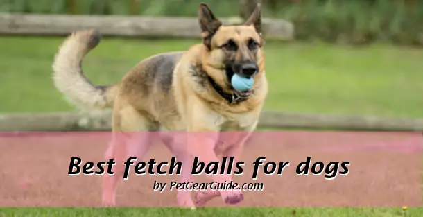 best fetch balls for dogs