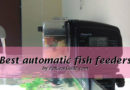 Best automatic fish feeder reviews (2021)
