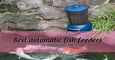 Best automatic pond fish feeder reviews (2021)