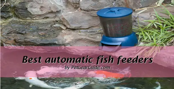 best automatic pond fish feeders