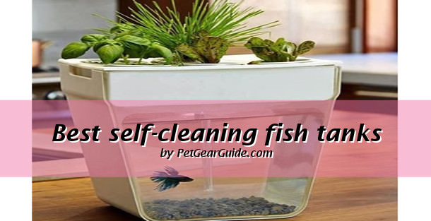 best self-cleaning fish tanks and aquariums