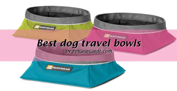 Best dog travel bowls