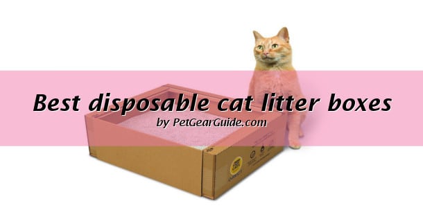 Best disposable cat litter boxes