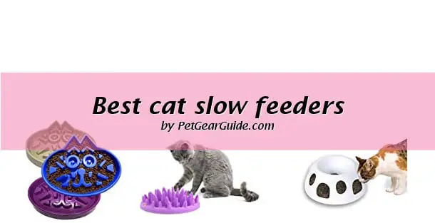 Best cat slow feeders