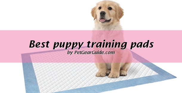 Best puppy training pads
