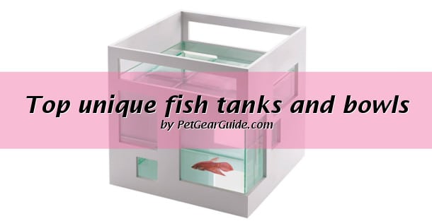 Top unique fish tanks and bowls