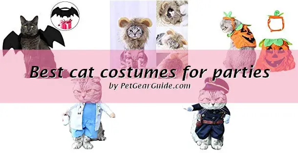 Best cat costumes for parties