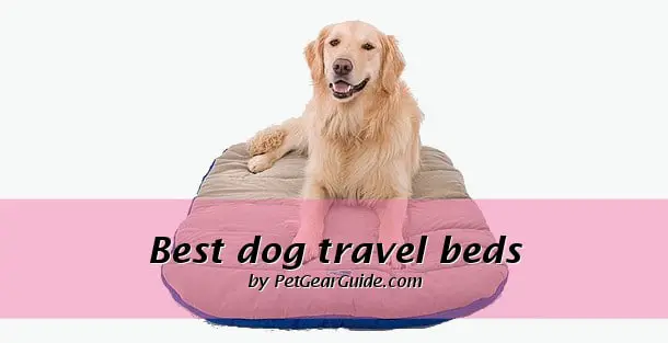 best dog travel beds