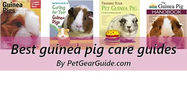 Best guinea pig care guides