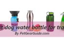 Best dog water bottles for travel and outdoors