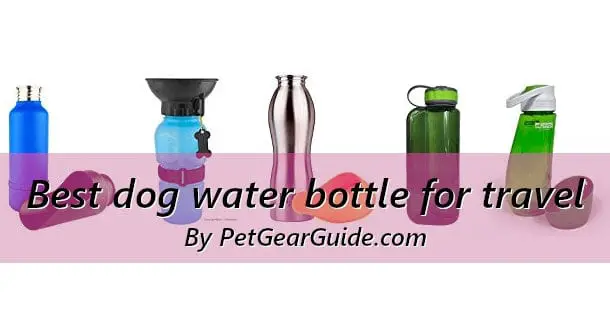 Best dog water bottle for travel and outdoors