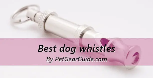 Best dog whistle