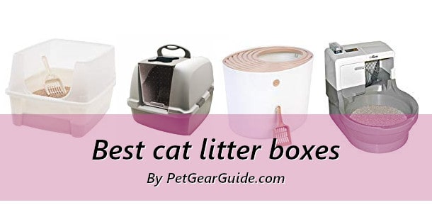 Best cat litter boxes