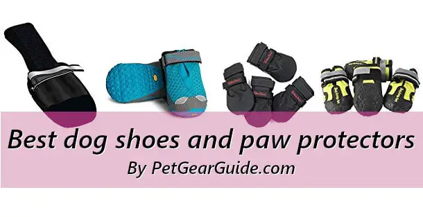 Best dog shoes and paw protectors