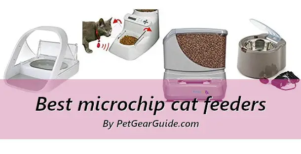 Best microchip cat feeders