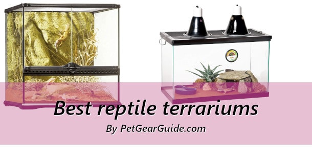 Best reptile terrariums