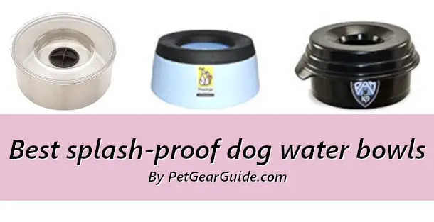 Best splash-proof dog water bowls