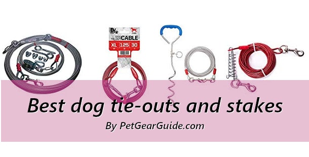 Best dog tie-outs and stakes
