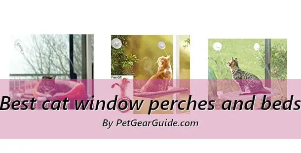 Best cat window perches and beds