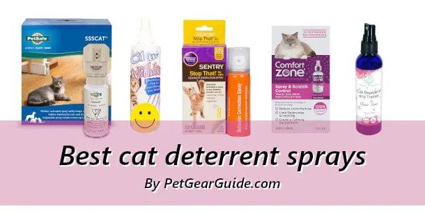 Best cat deterrent sprays