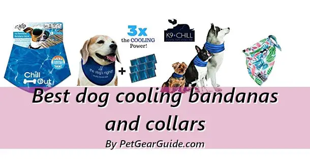 Best dog cooling bandanas and collars