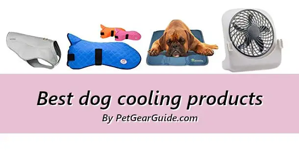Best dog cooling products