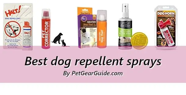 Best dog repellent sprays