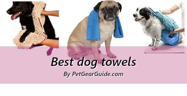 Best dog towels