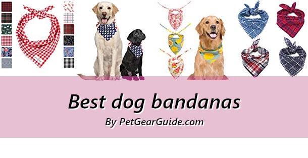 Best dog bandanas
