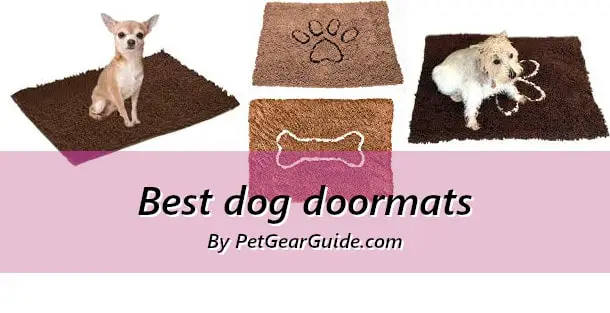 Best dog doormats