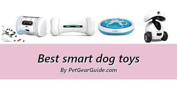 Best smart dog toys