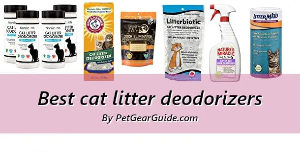 Best cat litter deodorizers