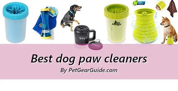 Best dog paw cleaners