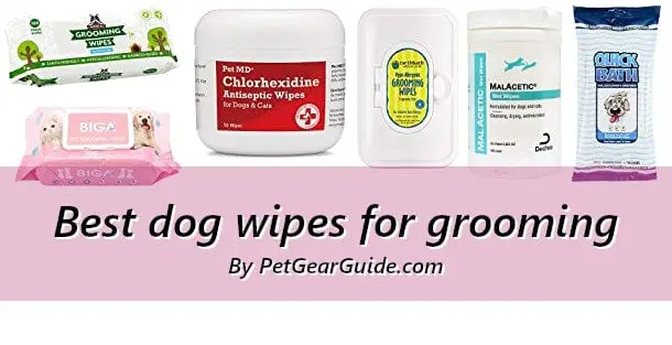 Best dog wipes for grooming