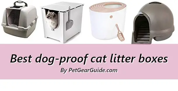 Best dog-proof cat litter boxes