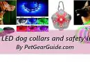 Best LED dog collars and safety lights for night-time safety