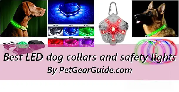 Best LED dog collars and safety lights