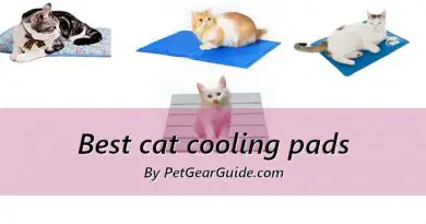 Best cat cooling pads and mats to keep your kitty cool