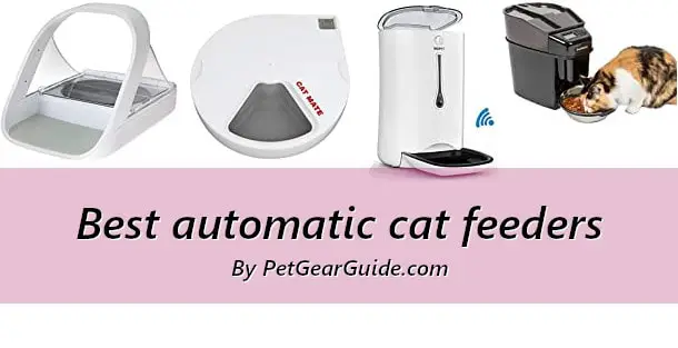 Best automatic cat feeders