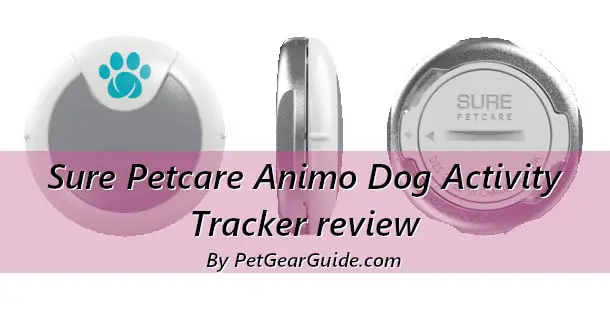 Sure Petcare Animo Dog Activity Tracker review