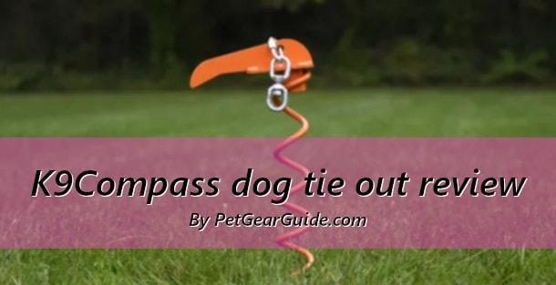 K9Compass dog tie out review