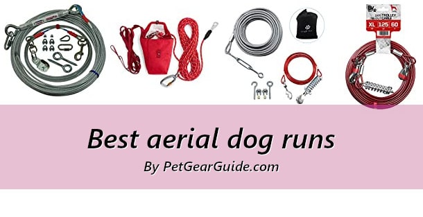 Best aerial dog runs