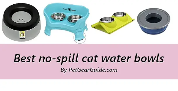 Best no-spill cat water bowls